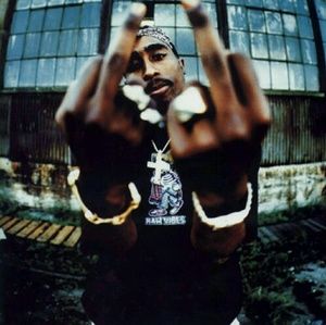 Meet your Posher, Shane